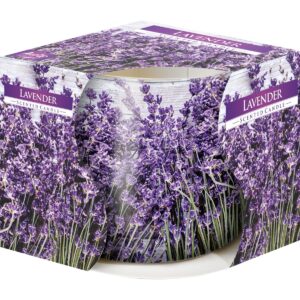 Lavender illatgyertya üvegpohárban