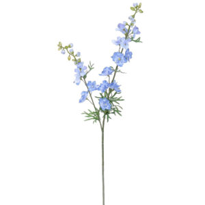 Mű Delphinium