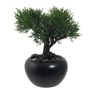 Mű bonsai Cédrus virágcserépben