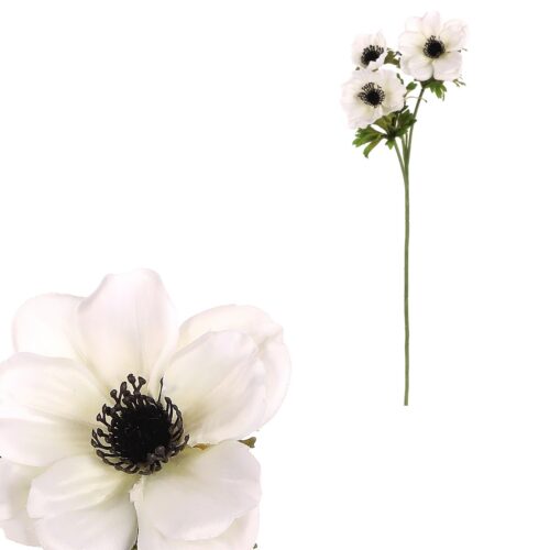 Anemone művirág