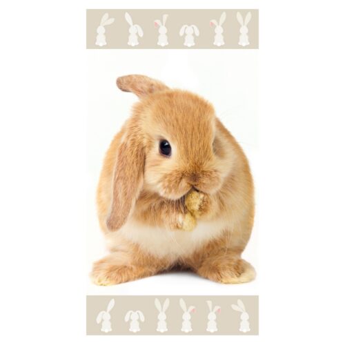 Bunny brown strandtörölköző