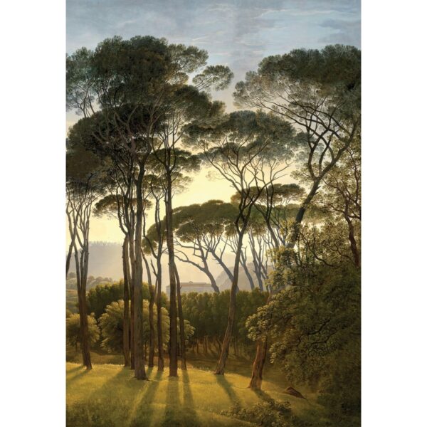 Fotó tapéta Old Trees 180 x 255 cm