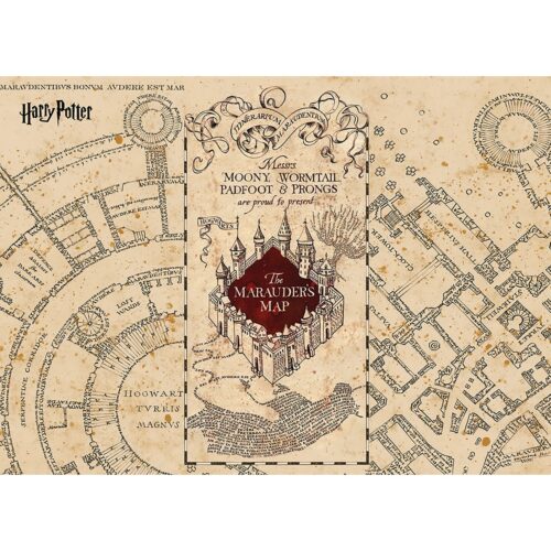 Gyerek fotótapéta Harry Potter Marauders térkép252 x 182 cm