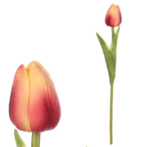 Műszivacs Tulipán mini YEL-PINK