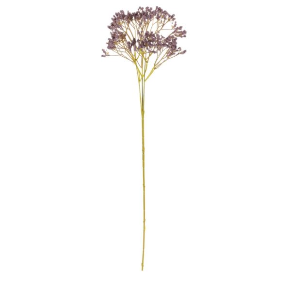 Művirág Gypsophila sötétlila