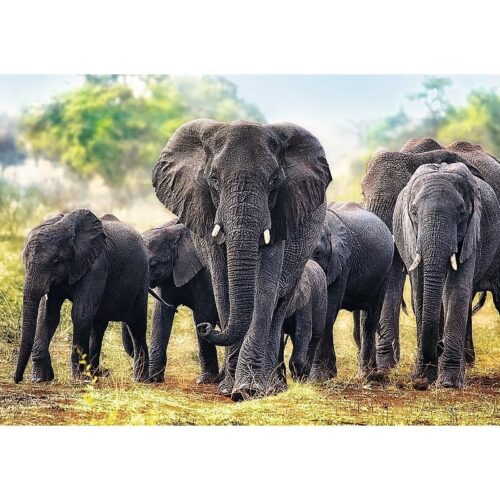 Trefl Afrikai elefántok puzzle