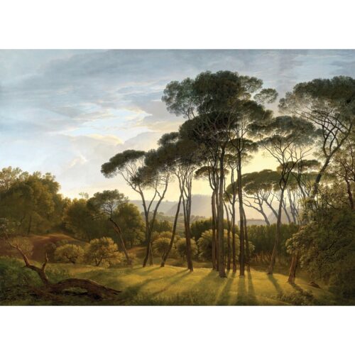 XXL fotó tapéta Old Forest 360 x 254 cm