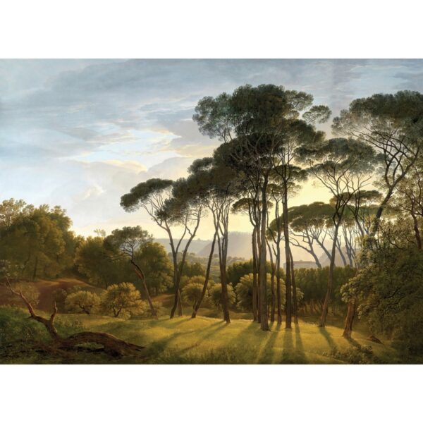 XXL fotó tapéta Old Forest 360 x 254 cm