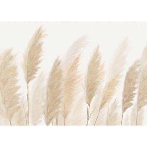 XXL fotó tapéta Pampas 360 x 254 cm