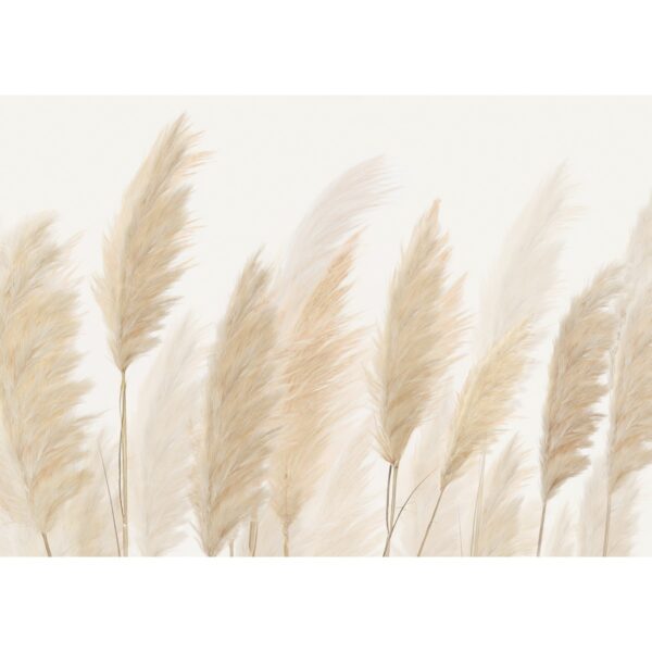 XXL fotó tapéta Pampas 360 x 254 cm