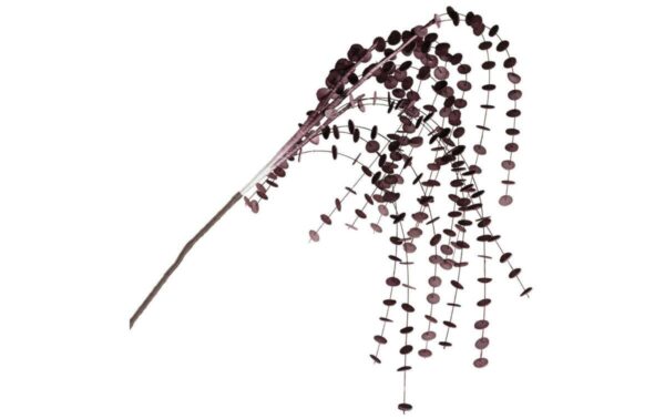 LEONARDO CALMO eukaliptusz ág 130cm