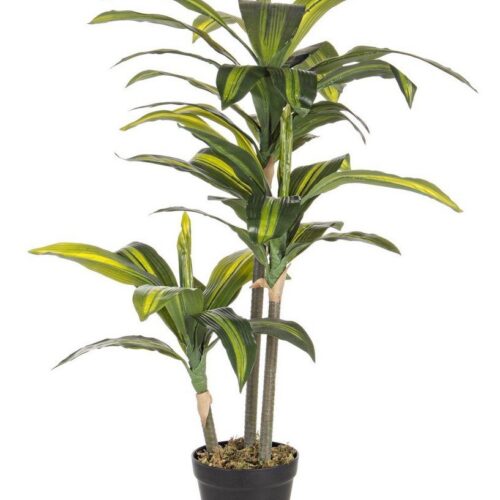 DRACANEA zöld művirág