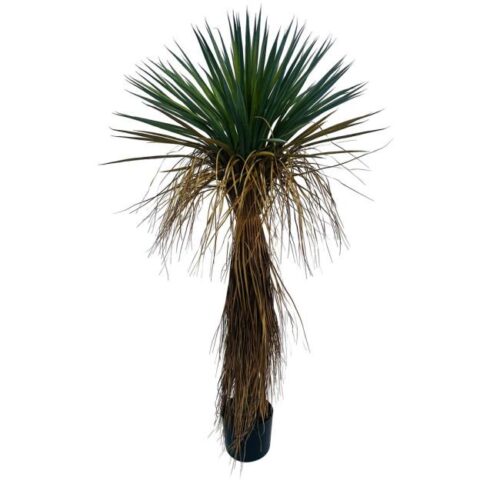 YUCCA sárga műanyag művirág YUCCA sárga műanyag művirág