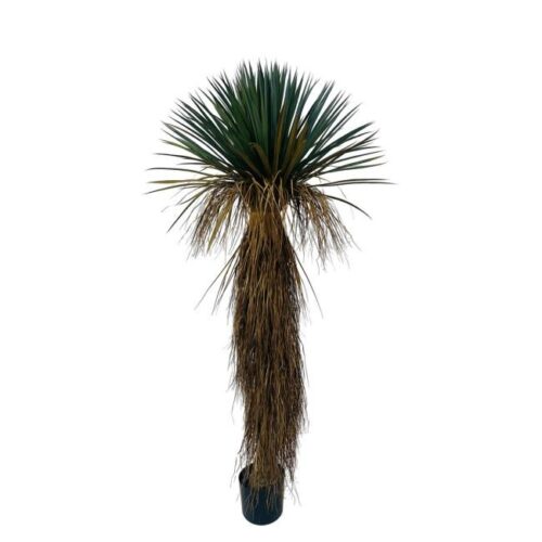 YUCCA zöld műanyag művirág YUCCA zöld műanyag művirág