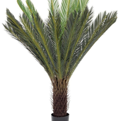 CYCAS zöld műanyag (pe) művirág CYCAS zöld műanyag (pe) művirág