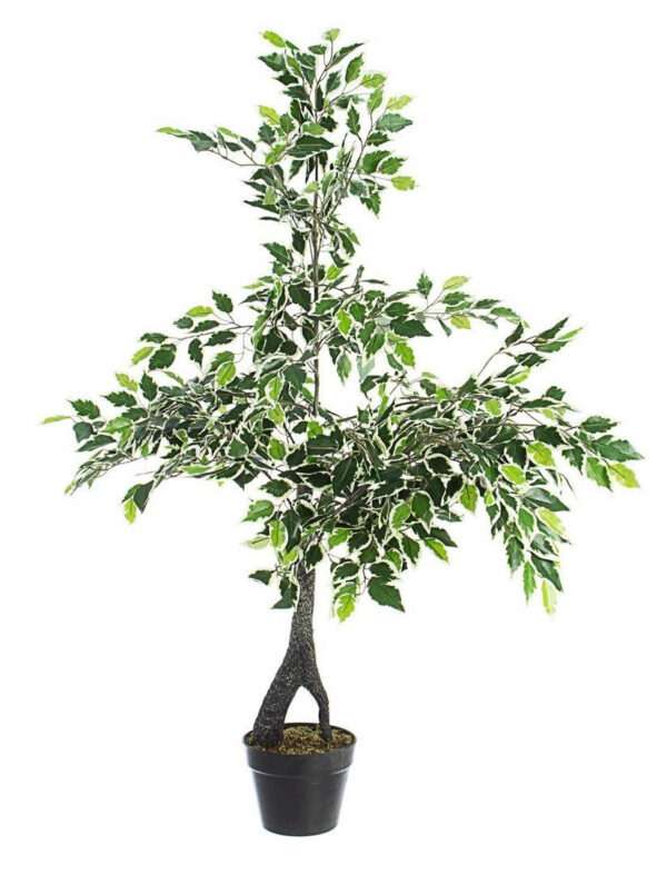 VARIEGATED FICUS zöld műanyag (pe) művirág VARIEGATED FICUS zöld műanyag (pe) művirág