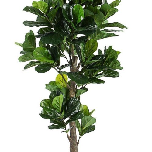 FICUS LYRATA II zöld művirág FICUS LYRATA II zöld művirág