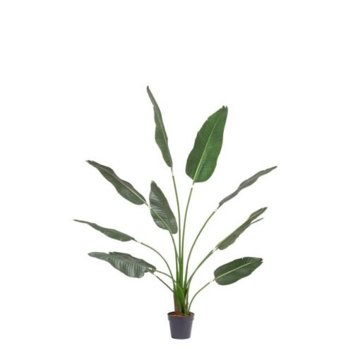 STRELITZIA zöld műanyag művirág STRELITZIA zöld műanyag művirág
