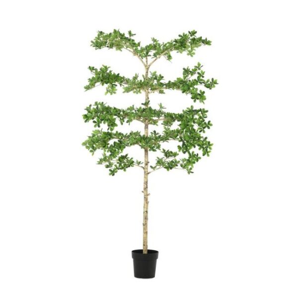 PITTOSPORUM zöld fém művirág