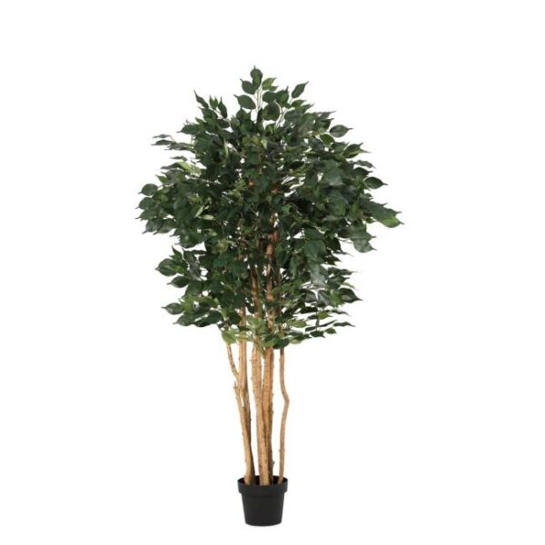 FICUS zöld műanyag művirág FICUS zöld műanyag művirág