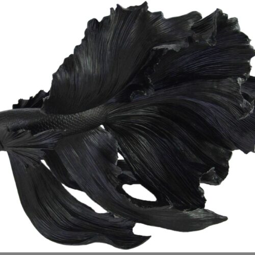 CROWNTAIL fekete 3d hal dekoráció 65cm